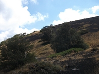 rrente Quarantore-20110911 173